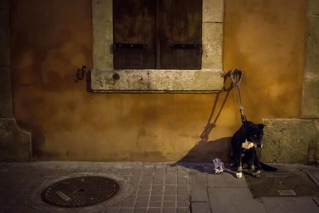 April 17, 2020, Barcelona, Catalonia, Spain: A dog tied to the wall is seen in Barcelona s La Barceloneta maritime district while its owner is buying groceries. Spanish Health Ministry calculates a new rise in daily coronavirus fatalities, with 585 registered deaths. Barcelona Spain - ZUMAb137 20200417_zap_b137_004 Copyright: xJordixBoixareux