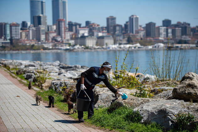 (200418) -- ISTANBUL, April 18, 2020 (Xinhua) -- A staff member of Kadikoy Municipality feeds stray cats in Istanbul, Turkey, on April 18, 2020. Bahar Cetinkaya and her three-member team took the streets in Istanbul on Saturday, with a car filled with dry animal food, as the city is under lockdown for the weekend due to COVID-19. (Photo by Yasin Akgul Xinhua) TO GO WITH Feature: Local officials rush help to stray animals in Istanbul during lockdown TURKEY-ISTANBUL-COVID-19-STRAY ANIMALS 