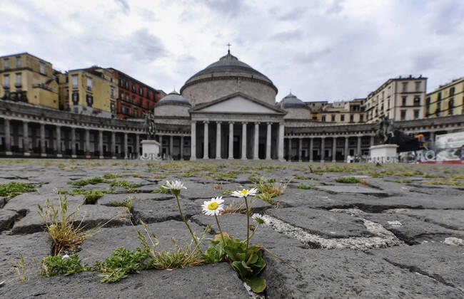 News Bilder des Tages The grass grows in the cracks in the pavement of Plebiscito Square in front of Saint Francesco Da Paola Church, in the city center, after a month of lockdown. In Italy the lockdown still continue Government Decree declaring all of Italy a protected area to combat covid-19 - coronavirus infection, closing schools, public offices and shops.  Copyright: xSalvatorexLaportax xIPAx xKontrolabx