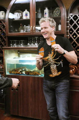 KITCHEN NIGHTMARES, chef Gordon Ramsay, Spanish Pavillion , (Season 4, ep. 401, aired Jan. 21, 2011), 2007-. photo: Jeff Neira TM and Copyright 20th Century Fox Film Corp. All rights reserved, Courtesy: Everett Collection 20thCentFox Courtesy Everett Collection !ACHTUNG AUFNAHMEDATUM GESCHÃ„TZT! PUBLICATIONXNOTxINxCANxCHNxFRAxITAxJPNxNORxPOLxRUSxESPxUKxUSA Copyright: x20thCentFox CourtesyxEverettxCollectionx TCDKINI FE034