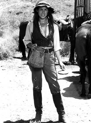 DESPARATE WOMEN, Susan Saint James, 1978. (c)ABC Television Courtesy: Everett Collection. ABC Courtesy Everett Collection !ACHTUNG AUFNAHMEDATUM GESCHÃ„TZT! PUBLICATIONXNOTxINxCANxCHNxFRAxITAxJPNxNORxPOLxRUSxESPxUKxUSA Copyright: xABC CourtesyxEverettxCollectionx TBDDEWO EC001
