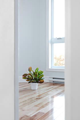 Bright room seen through the doorway Bright room decorated with plant, seen through the doorway.  Copyright: xanikasalserax 7085650