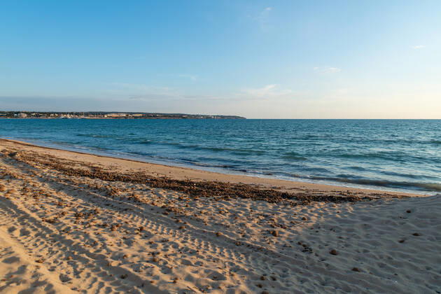 20200423 Corona Lock down in Mallorca PALMA DE MALLORCA, SPAIN APRIL 23 2020 Empty dirty beach at the Playa de Palma at Corona Lock down in Mallorca on April 23, 2020 in Palma de Mallorca, Palma de Mallorca Baleares Spain