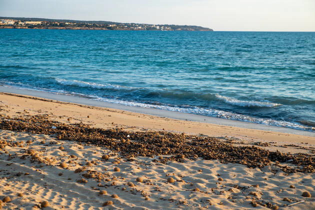 20200423 Corona Lock down in Mallorca PALMA DE MALLORCA, SPAIN APRIL 23 2020 Empty dirty beach at the Playa de Palma at Corona Lock down in Mallorca on April 23, 2020 in Palma de Mallorca, Palma de Mallorca Baleares Spain