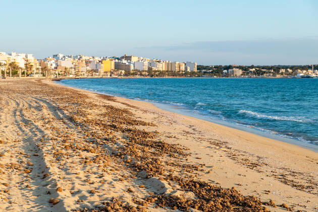 20200423 Corona Lock down in Mallorca PALMA DE MALLORCA, SPAIN APRIL 23 2020 Empty dirty beach at the Playa de Palma at Corona Lock down in Mallorca on April 23, 2020 in Palma de Mallorca, Palma de Mallorca Baleares Spain