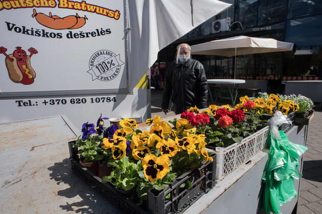 Coronavirus in Litauen, Eindrücke aus Vilnius (200424) -- VILNIUS, April 24, 2020 (Xinhua) -- A man wearing face mask and shield sells flowers in Vilnius, capital of Lithuania, April 23, 2020. The government of Lithuania on Wednesday extended the nationwide quarantine restrictions until May 11 with the easing measures such as reopening of all shops and shopping malls from Thursday. Th new measures also included letting outdoor cafes, hairdressing, beauty parlors, libraries and museums to resume operation from the start of the next week. (Photo by Alfredas Pliadis Xinhua) LITHUANIA-VILNIUS-COVID-19 