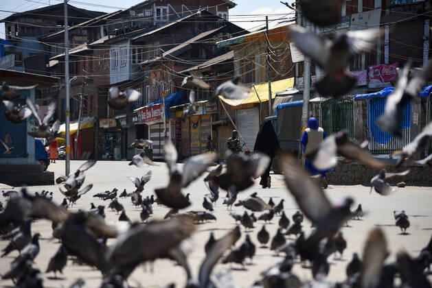 April 24, 2020, Srinagar, India: Pigeons take off as a resident passed through them during the nationwide lockdown..India s Health Ministry has so far recorded a total 23,452 infections, death 272 and recovered 4,814 cases since the beginning of the corona virus outbreak. Srinagar India - ZUMAs197 20200424_zaa_s197_037 Copyright: xIdreesxAbbasx