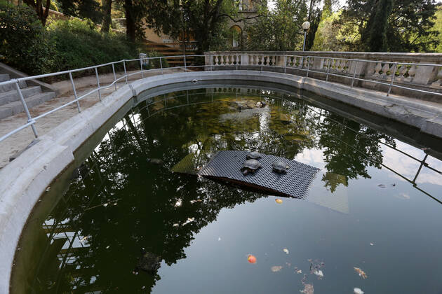 About 30 water turtles live in a fountain pound 25.04.2020., Croatia, Rijeka - About 30 water turtles live in a fountain pound that is part of the Vidikovac water reservoir at the City Water Supply on Boulevard. GoranxKovacic PIXSELL