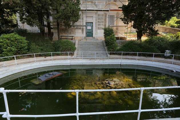 About 30 water turtles live in a fountain pound 25.04.2020., Croatia, Rijeka - About 30 water turtles live in a fountain pound that is part of the Vidikovac water reservoir at the City Water Supply on Boulevard. GoranxKovacic PIXSELL
