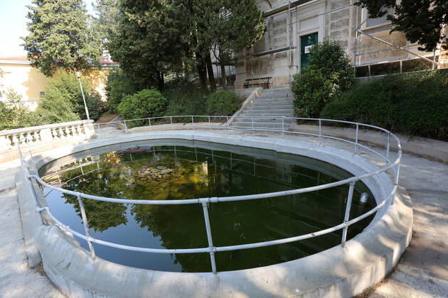 About 30 water turtles live in a fountain pound 25.04.2020., Croatia, Rijeka - About 30 water turtles live in a fountain pound that is part of the Vidikovac water reservoir at the City Water Supply on Boulevard. GoranxKovacic PIXSELL