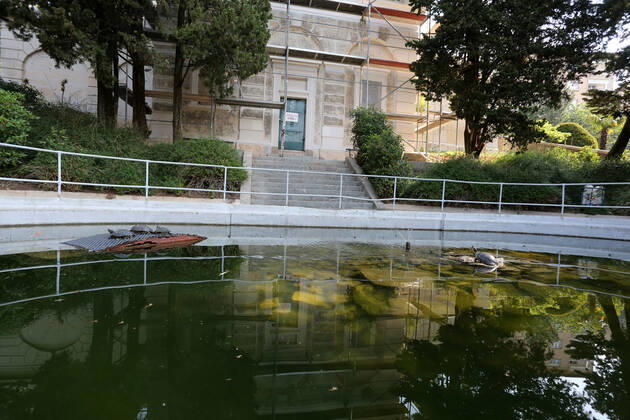 About 30 water turtles live in a fountain pound 25.04.2020., Croatia, Rijeka - About 30 water turtles live in a fountain pound that is part of the Vidikovac water reservoir at the City Water Supply on Boulevard. GoranxKovacic PIXSELL