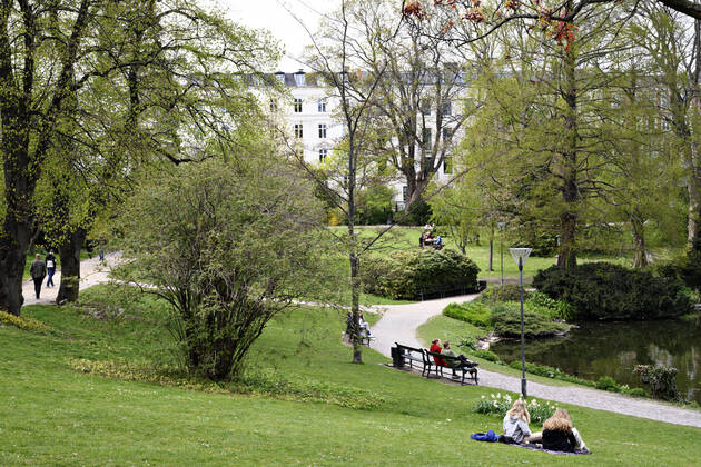 The Copenhageners enjoy the spring sun at the Orestedsparken in Copenhagen on Sunday, April 26, 2020 There is a ban on more than ten people because of the danger of infection with coronavirus covid 19 Note the picture taken with a telephoto lens and the distance between people in the picture can be perceived less than the real is , Copenhagen Denmark,  Copyright: PhilipxDavali PhilipxDavalix COP107 spdk20200426-175253-L