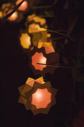 lantern,martins day,martinmas ijc-24