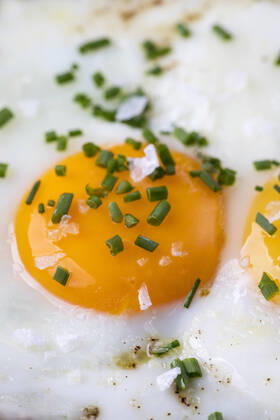 fried egg jb1-kn6