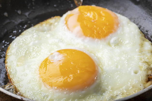 fried egg jb1-l86