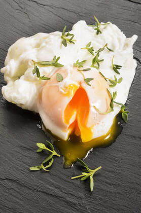 egg,poached k98-k63