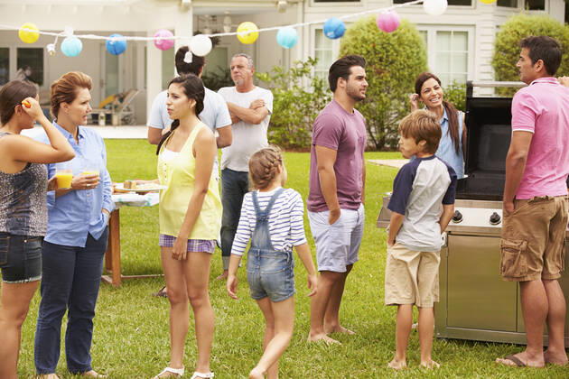 fixed,barbecue,family fest,garden party mmq-mrs,model released, Symbolfoto