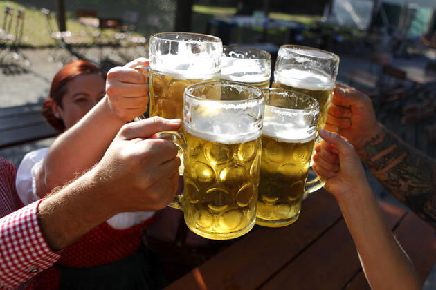 beer,beer garden,toast pgg-gk2,model released, Symbolfoto