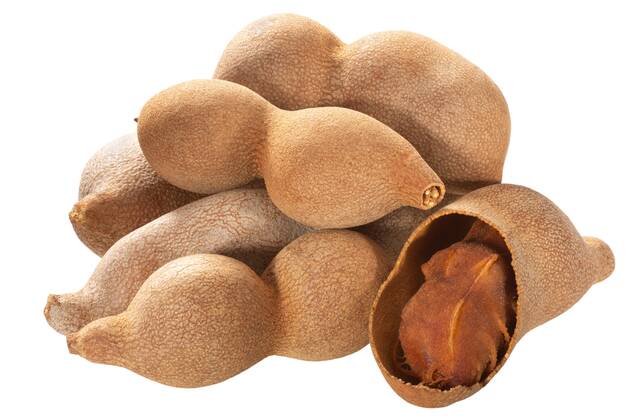  Tamarind pods, pile of, isolated Copyright: xmaxsol7x Panthermedia27050870