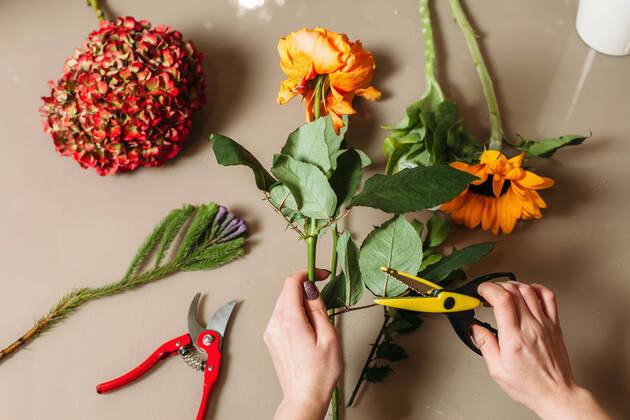  Florist hands cutting rose with garden scissors Copyright: xNomadSoulx Panthermedia28086500 ,model released, Symbolfoto