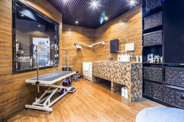 Interior design  544169822436720648