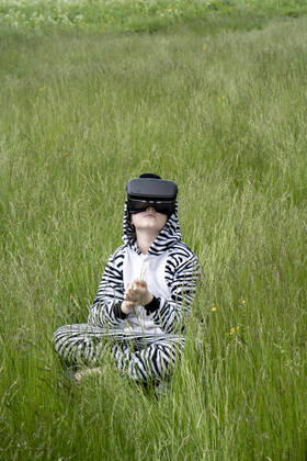 Boy in zebra costume using VR simulator while sitting on grass model released Symbolfoto VPIF02652