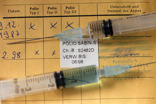 08 09 2020, vaccination, symbolic picture, one vaccination card is on the table with two syringes 08 09 2020, vaccination symbolic picture vaccination card 08 09 2020, vaccination symbolic picture vaccination card