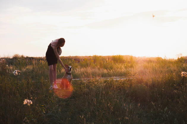 IMAGO Creative: Sommer, Abendspaziergang Young woman stands in the field with dog, faded colors during su CR_AXHBBX201001-515410-01 ,model released, Symbolfoto
