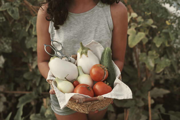 IMAGO Creative: 2022 Aussichten Creative Highlights Symbolfotos portrait of a girl with a basket of vegetables collected from her garden Jaén, AL, Spain CR_NNSU201014C-522893-01 ,model released, Symbolfoto