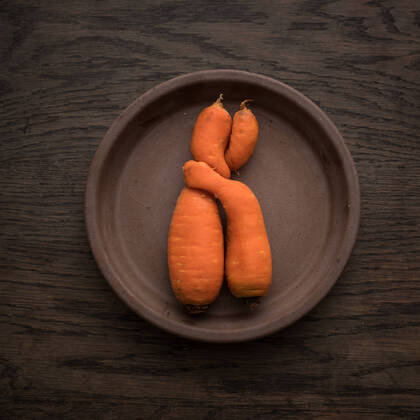 Two carrots grown together lie on earth for a photo illustration Carrot hug
