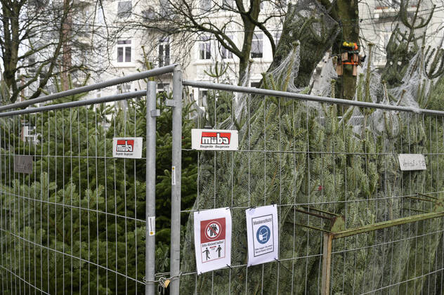 DEUTSCHLAND, Hamburg Ottensen, Corona Pandemie, Verkauf von Weihnachtsbäumen mit AHA Regeln Hamburg Deutschland