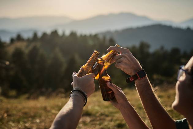 Company of unrecognizable friends relaxing in highland area and clinking bottles of beer while enjoying sunset in summer during weekend Copyright: xAlbertoxGarridox Model Released