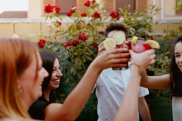 Group of cheerful friends clinking glasses at party Copyright: xElenaxGonzalezx Model Released