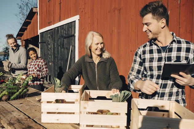 Smiling farmers arranging organic vegetables in crates outside barn , model released, property released Copyright: xMaskotx , MA60671