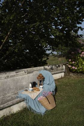 Cupcakes and cookies with teapot and milk on blue blanket served with straw basket with flowers on rocked bench at summer garden Copyright: xLeirexGamboax Model Released