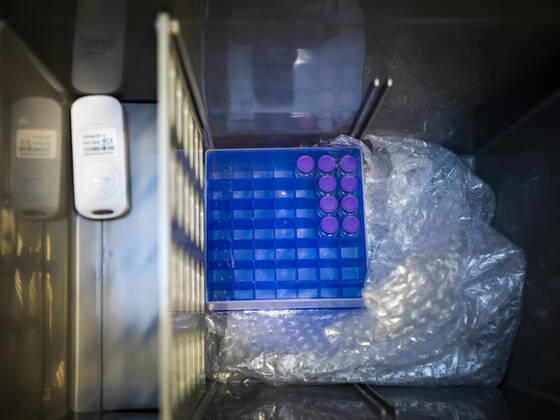 EUROPE, GERMANY, BAVARIA, BAMBERG, 27 12 2020 Vaccination launch in Bamberg The first shipment of the first Corona vaccine available in Europe arrives at the Albrecht Dürer Seni