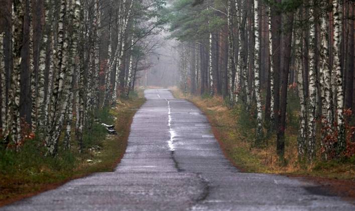 Uckermark GER, Germany, 20210101,Uckermark, road with bad visibility