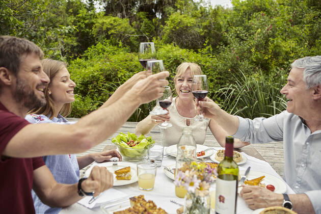 Happy family toasting wine glasses Copyright: DinocoxGreco B65490333