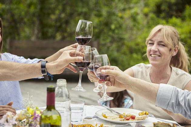 Happy family toasting wine glasses Copyright: DinocoxGreco B75893133