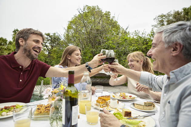 Happy family toasting wine glasses Copyright: DinocoxGreco B77098433
