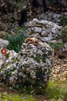 PXL_Osorscica mountain Photo taken on Jan. 12, 2021 show Osorscica mountain , Losinj Island, Croatia. Osorscica mountain spreads along the northern part of the island of Losinj from Cunski to Osor, and it is about 20 kilometres long. It is the first mountain on the islands of Adriatic to have attracted visitors, heir to the Austro-Hungarian throne Rudolf Habsburg was surely one of the first, having climbed Osorscica in 1887. Osorscica is well-known for many caves and the most famous are St. Gaudentius cave, located below the peak Televrina on the eastern side, and Vela Jama on the western side of Televrina. It is about 40 metres deep and remains of people were found here from about 10.000 years ago. SreckoxNiketic PIXSELL