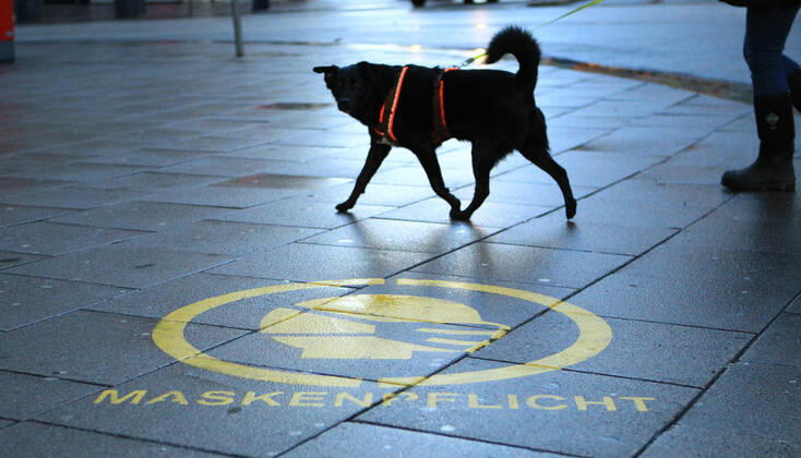 On the sidewalk plates in Hamburgs Mönckebergstraße it is pointed out that masks are compulsory here Altstadt Hamburg
