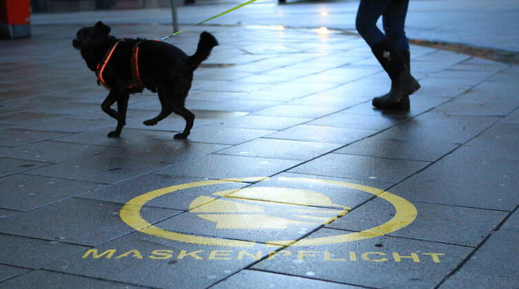 On the sidewalk plates in Hamburgs Mönckebergstraße it is pointed out that masks are compulsory here Altstadt Hamburg