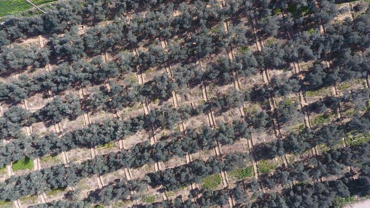 January 16, 2021, Deir Al-Balah, Gaza Strip, Palestinian Territory: This picture taken on January 16, 2021, shows an aerial view of the Deir al-Balah refugee camp in the central Gaza Strip, during a complete closure amid the spread of the Coronavirus COVID-19. In the Sixth week after the Ministry of Interior in Gaza City announced the comprehensive closure on Friday and Saturday of every week after the increase in cases infected with Coronavirus Deir Al-Balah Palestinian Territory - ZUMAap3_ 20210116_zaf_ap3_074 Copyright: xAshrafxAmrax