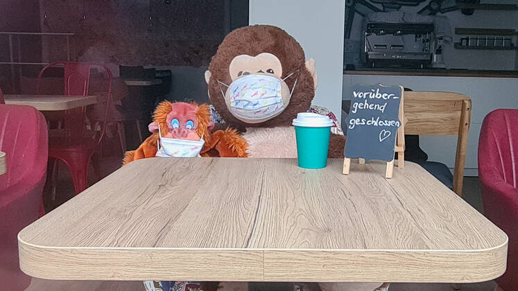 Hamburg in Corona Lockdown scenes in February 2021 around the Hamburg Außenalster two lonely stuffed animals sit in the window of a corona closed bistro in Hamburg Uhlenhorst Hamburg in Corona Lockdown scenes in February 2021 around the Hamburg Außenalster , Hamburg Hamburg Germany downtown around the Alster