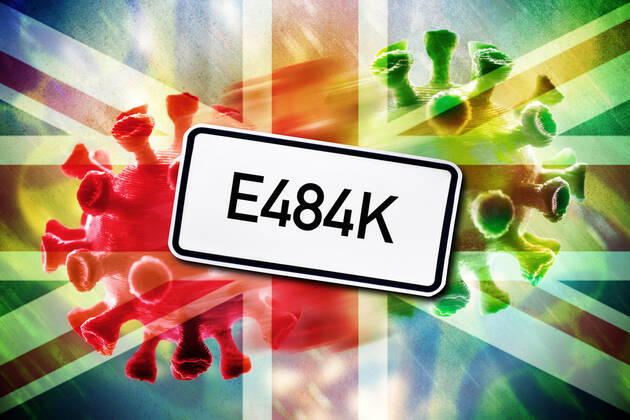 PHOTOMONTAGE, Mutating coronavirus, British variant E484K ** NUR FUER REDAKTIONELLE ZWECKE ** EDITORIAL USE ONLY **