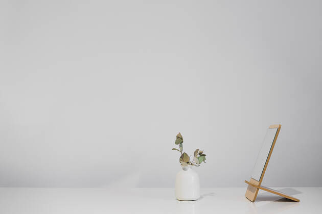 IMAGO Creative: Clickbait, Deko Ideen für Zuhause Dry plant in a vase standing next to the mirror on white table t CR_AXHBBX210210-638507-01