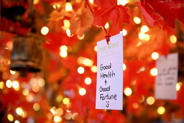 CHINESE NEW YEAR SYDNEY, A message on a wishing tree as part of the Chinese New year in Sydney, Friday, February 12, 2021. ( NO ARCHIVING, EDITORIAL USE ONLY, NO USE IN BOOKS WITHOUT CONSENT SYDNEY NSW AUSTRALIA  Copyright: xJOELxCARRETTx 20210212001520011765
