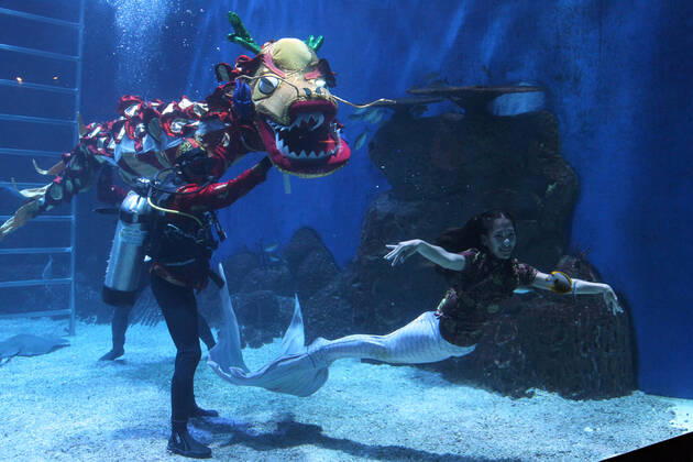 February 12, 2021, Jakarta, Jakarta, Indonesia: The Liong Show Underwater attraction with mermaids played by safety divers and free divers enlivened in celebration of Chinese New Year 2572 at the Jakarta Aquarium and Safari at the Neo Soho mall, Jakarta, on February 12,2021. The show was in order to enliven Chinese New Year and as a means of recreation for children and families where there was a concession from the government during the COVID-19 pandemic by implementing strict health protocols. Jakarta Indonesia - ZUMAr173 20210212_zip_r173_008 Copyright: xDasrilxRoszandix