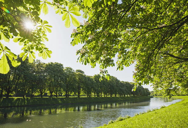 Germany, North Rhine-Westphalia, Cologne, Sun shining over treelined Decksteiner Weiher pond in spring GWF06860